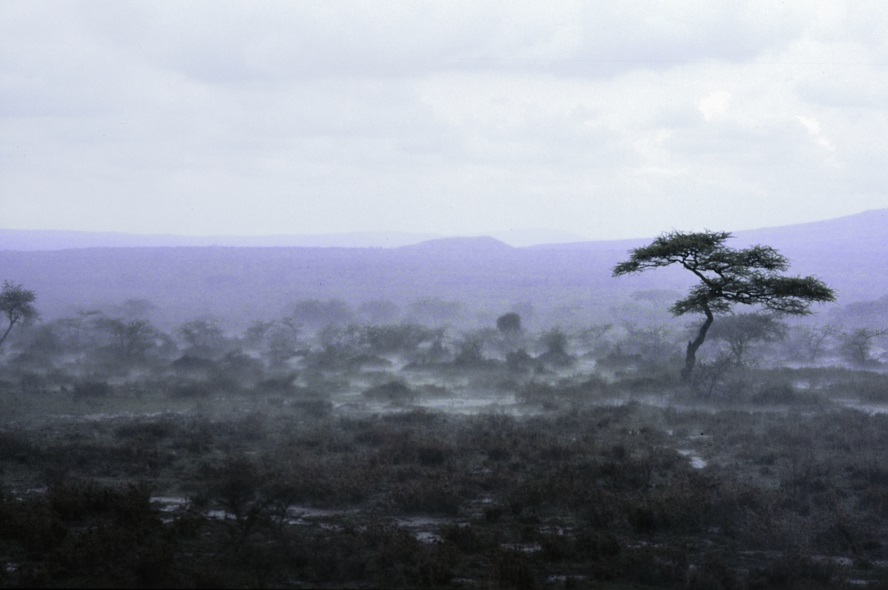 photo d'un paysage africain